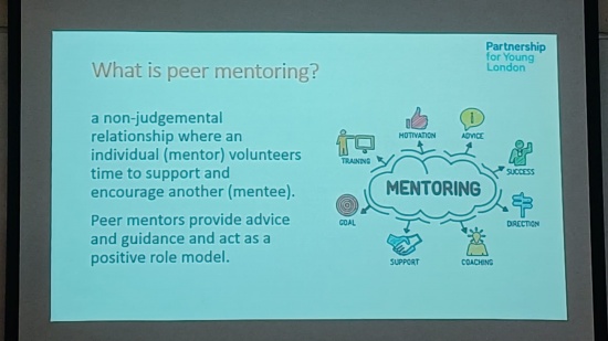 Peer mentoring